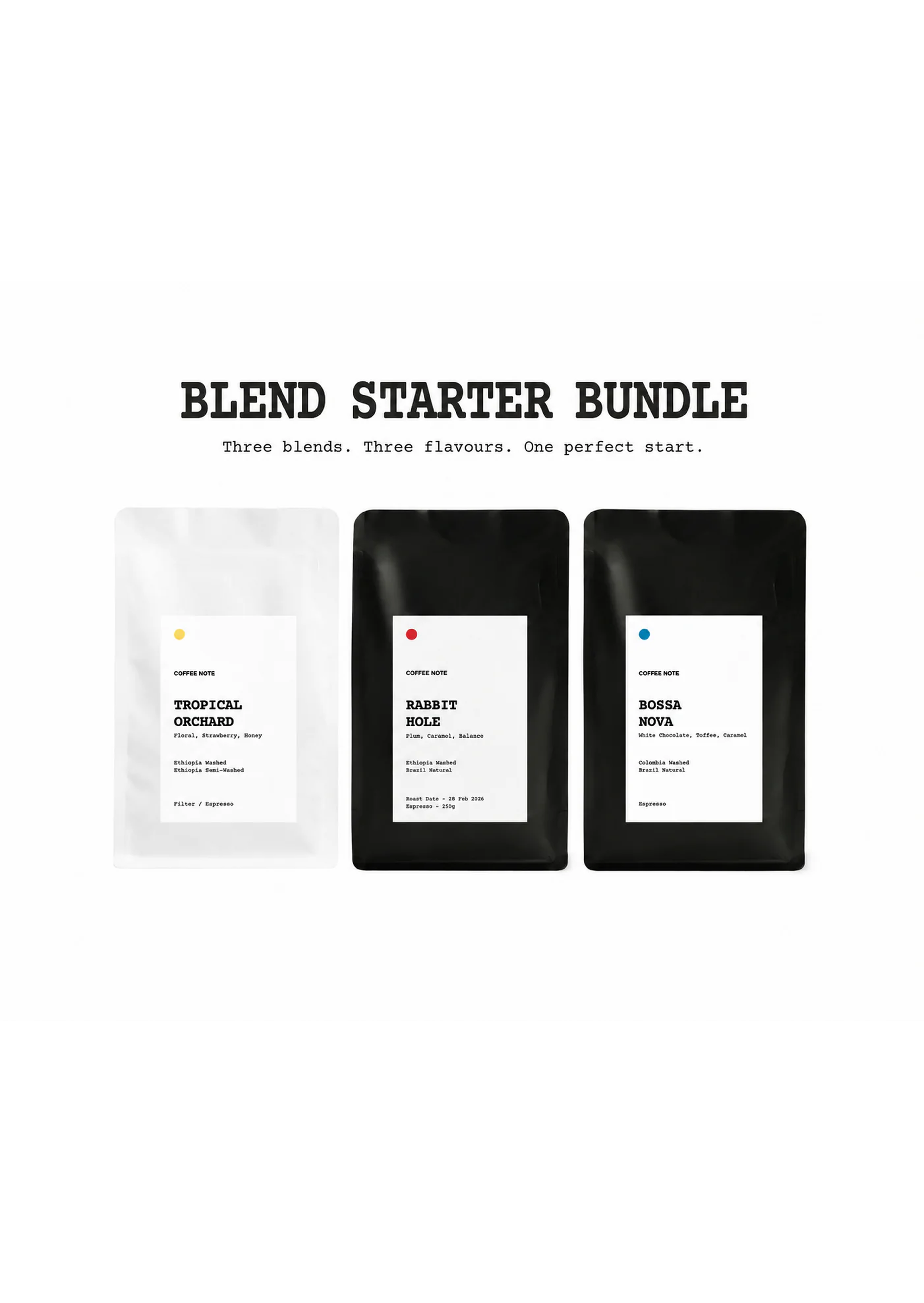 Blend Starter Bundle